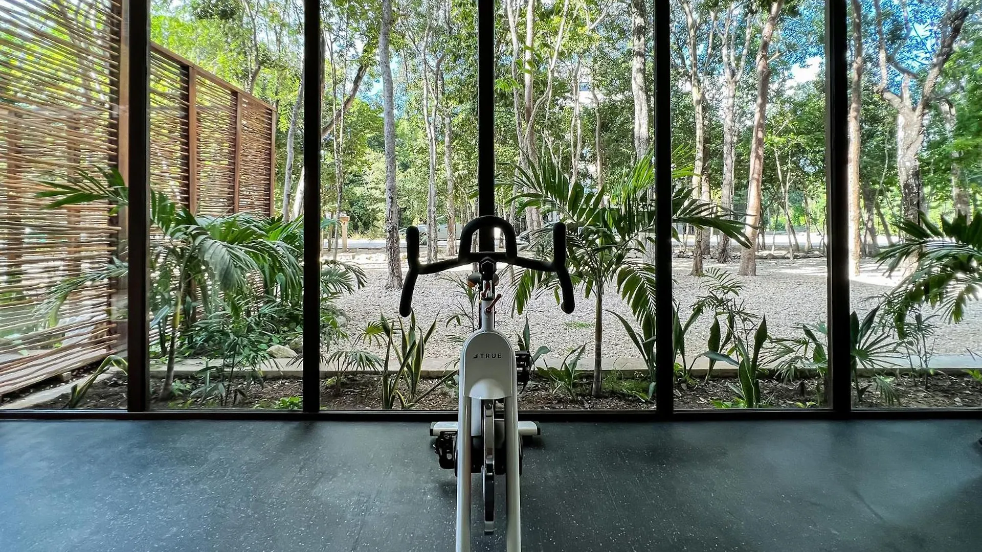 Lägenhet Departamento Con Pisicina Privada En Rooftop Tulum Mexiko